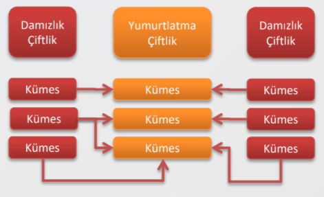 Kümes Takip Yönetim Yazılımı