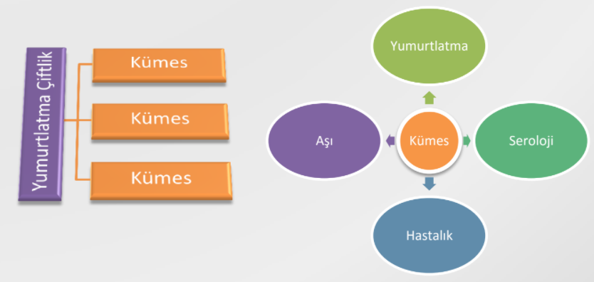 Kümes Takip Yönetim Yazılımı